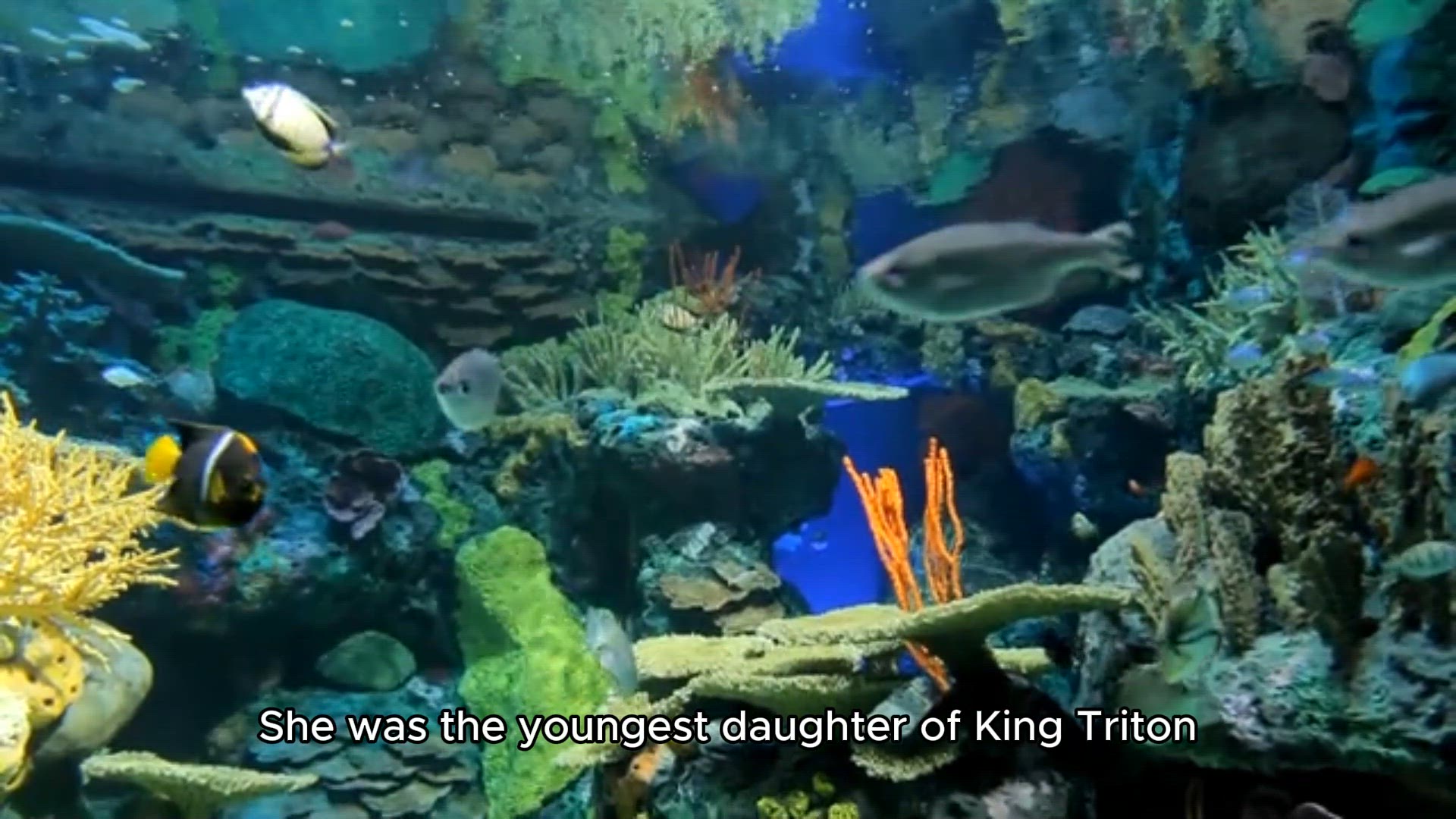 Video thumbnail for The Little Mermaid