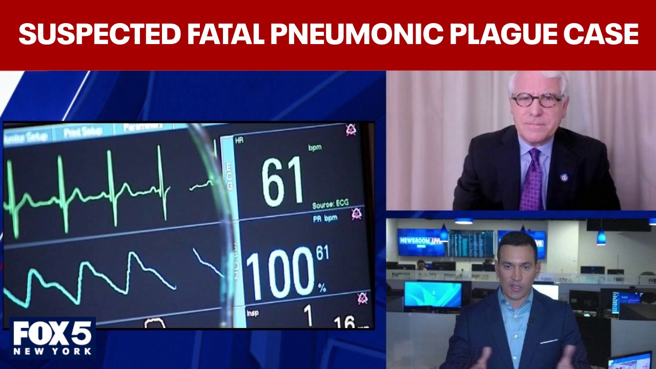 Video thumbnail for US monitoring suspected fatal pneumonic plague case in Russia: official