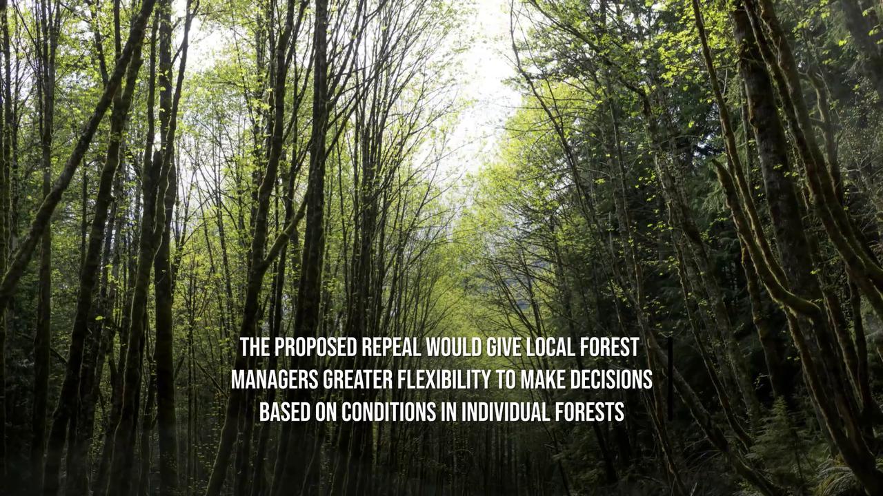 Video thumbnail for Trump Administration Moves To Allow Logging And Construction In National Forests.