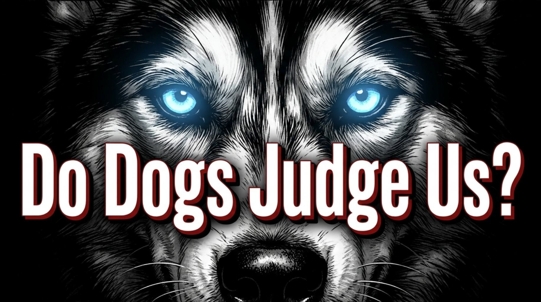 Video thumbnail for Do Dogs Judge Our Decisions in Life?