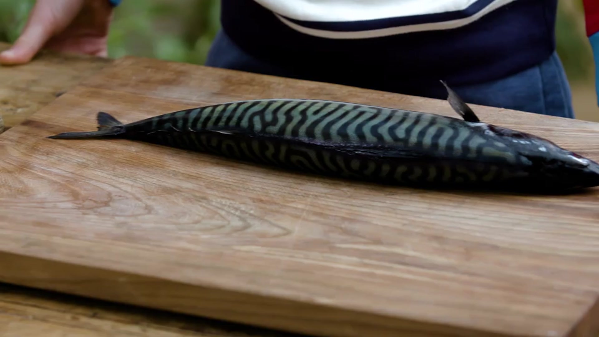 Video thumbnail for How to fillet a fish Buddy Oliver CookingBuddies(720P HD)
