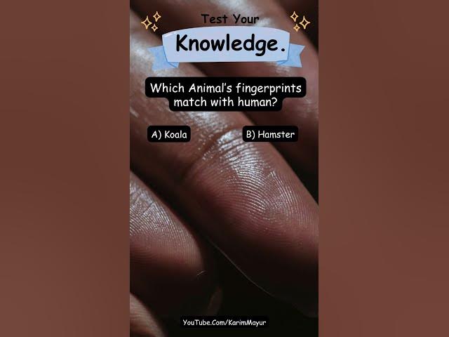 Video thumbnail for Which Animal’s fingerprints match with human ? #knowledge #education #shorts