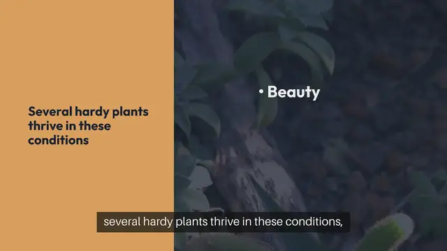 Video thumbnail for Best Outdoor Plants for Coastal Gardens