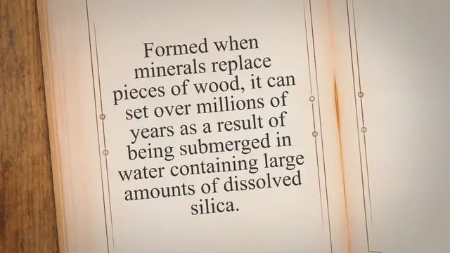 'Video thumbnail for What Is Petrified Wood Used For?'