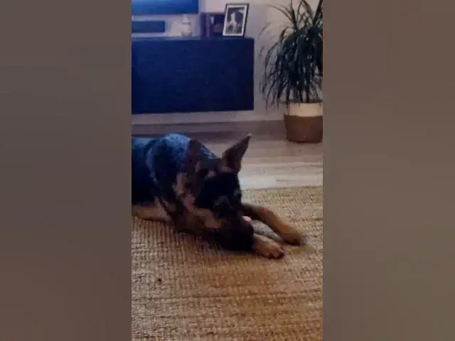 Video thumbnail for hm