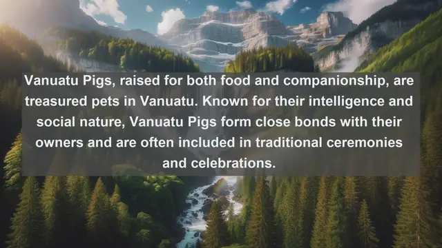 Video thumbnail for Vanuatu's Top 10 Beloved Pets: Discover the Unique Animal Companions of the South Pacific Paradise