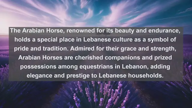 Video thumbnail for Discover Lebanon's Most Adored Companions: Top 10 Favorite Pets Unveiled