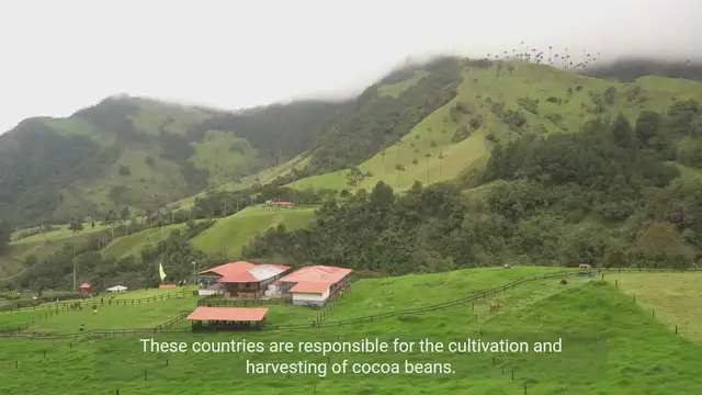 Video thumbnail for The Impact of Cocoa-Producing Countries and Chocolates