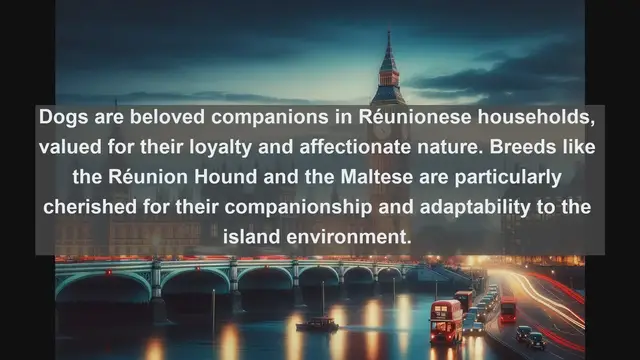 Video thumbnail for Pet Palooza: Top 10 Favorite Pets in Russia Unveiled