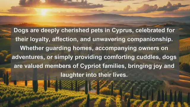 Video thumbnail for Discover Cyprus's Most Beloved Companions: Top 10 Favorite Pets Revealed!