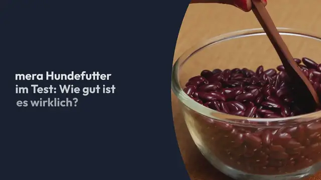 Video thumbnail for mera Hundefutter im Test: Wie gut ist es wirklich? (2024)