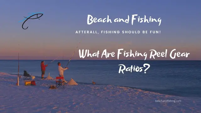 'Video thumbnail for What Are Fishing Reel Gear Ratios?'