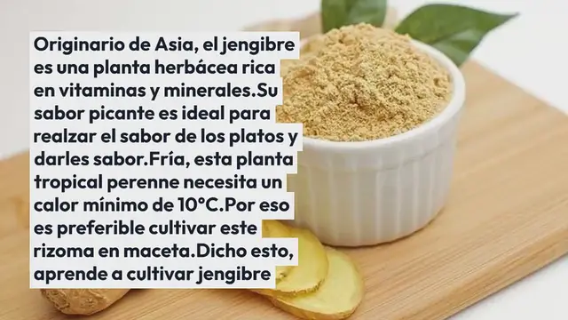 Video thumbnail for ¿Cómo cultivar jengibre en casa?