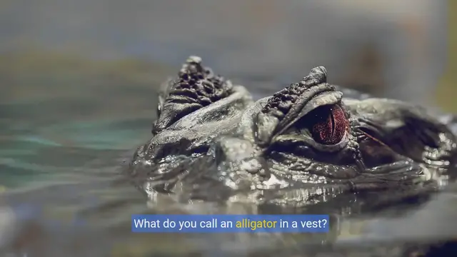 Video thumbnail for One-liner joke compilation: Short and snappy humor