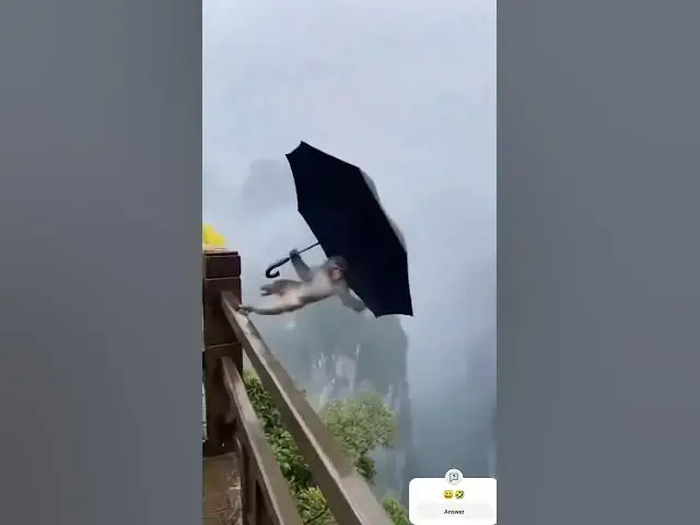 Video thumbnail for चैना को बादर यस्तो vai सक्यो😀🤣