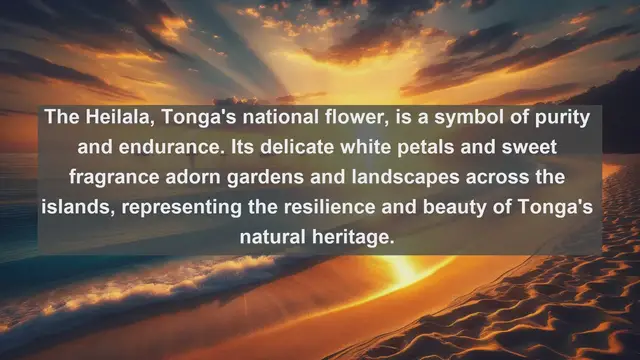 Video thumbnail for Exploring Tonga's Natural Wonders: Top 10 Native Flora You Must See!