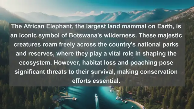 Video thumbnail for Top 10 native fauna in Botswana