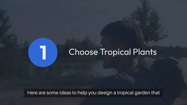 Video thumbnail for Tropical Garden Design Ideas For Homes