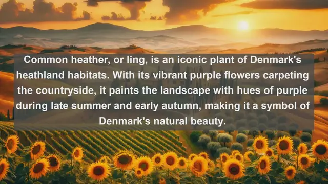 Video thumbnail for Exploring Denmark's Botanical Marvels: Top 10 Native Plants in Denmark