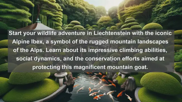 Video thumbnail for Exploring Liechtenstein's Wildlife Gems: Top 10 Native Animals
