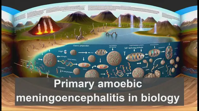 Video thumbnail for Primary amoebic meningoencephalitis in biology
