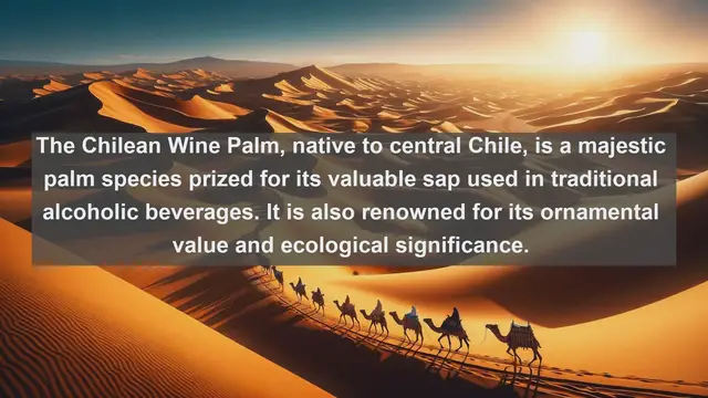 Video thumbnail for Unveiling Chile's Botanical Treasures: Top 10 Native Plants in Chile