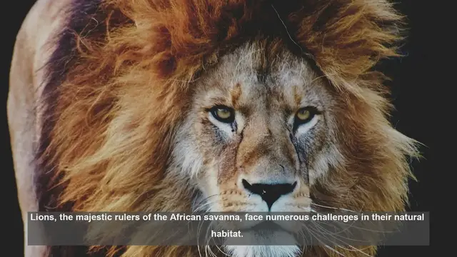 Video thumbnail for 10 Natural Threats to Lion Prides in the Wild