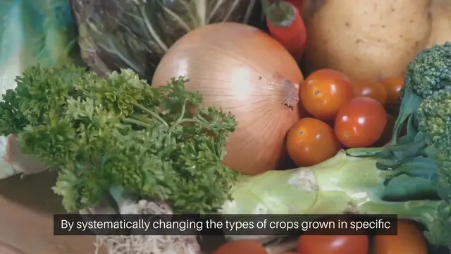 Video thumbnail for Healthier Soil Through Rotation