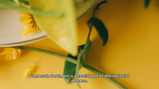 Video thumbnail for Plant Scale Treatment