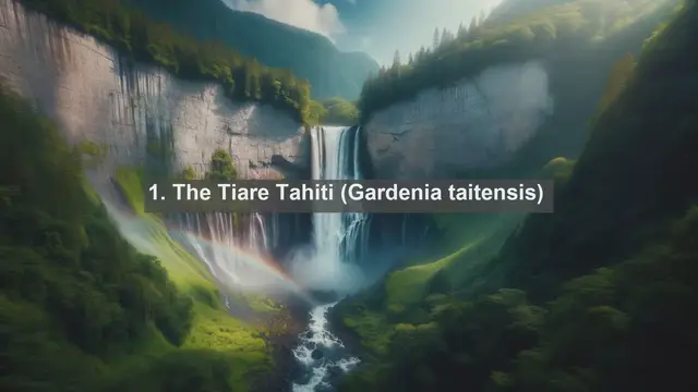 Video thumbnail for Unveiling Tropical Paradise: Top 10 Native Plants in French Polynesia