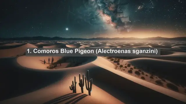 Video thumbnail for Discover Mayotte's Avian Treasures: Top 10 Native Birds in Mayotte