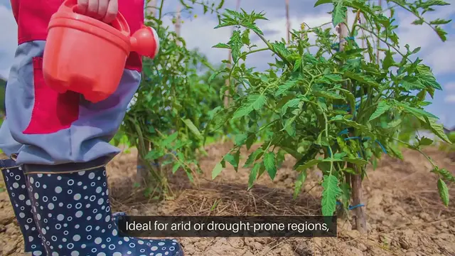 Video thumbnail for Xeriscape Gardening Strategies