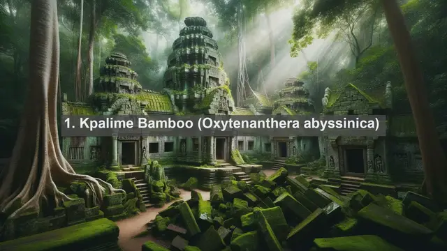 Video thumbnail for Discovering the Botanical Treasures of Togo: Top 10 Native Flora