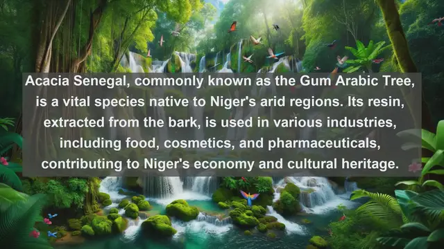 Video thumbnail for Discovering Niger's Natural Treasures: Top 10 Native Flora Revealed!
