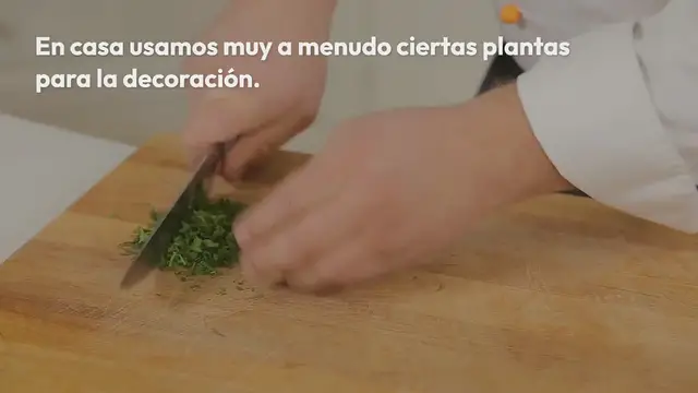 Video thumbnail for Si quieres poner plantas en la cocina, ¡estas se consideran las mejores!