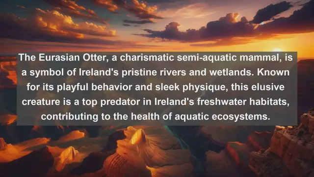 Video thumbnail for Exploring Ireland's Natural Treasures: Top 10 Native Fauna