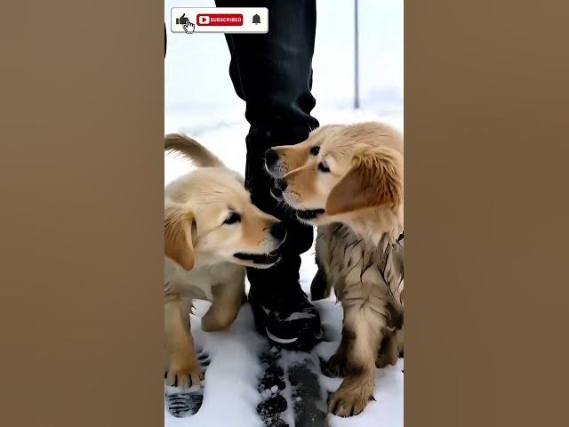 Video thumbnail for I won't believe that😲😳#shorts #viral  #animals