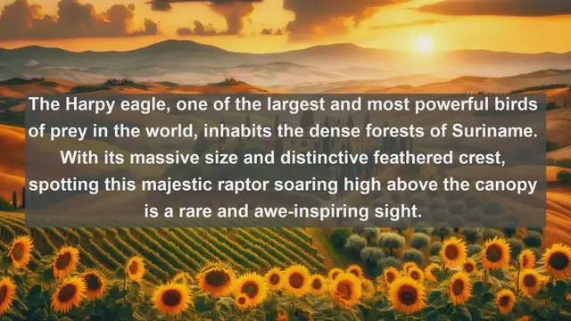 Video thumbnail for Top 10 native animals in Suriname