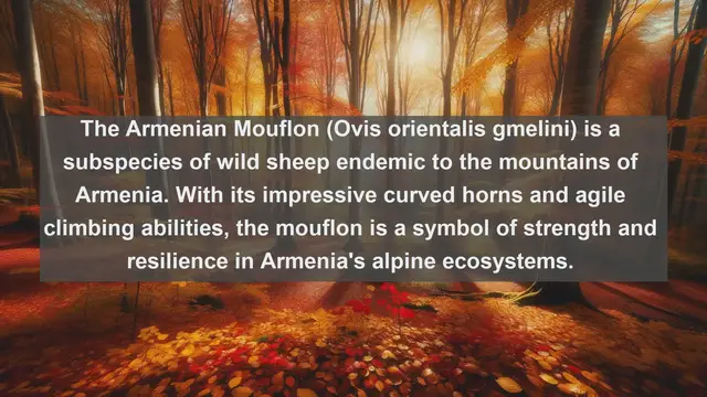Video thumbnail for Top 10 native fauna in Armenia