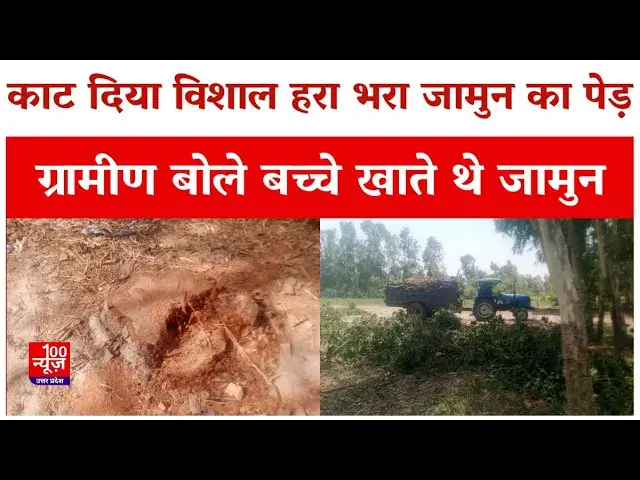 Video thumbnail for Hardoi News: काट दिया विशाल हरा भरा जामुन का पेड़, ग्रामीण बोले बच्चे खाते थे जामुन