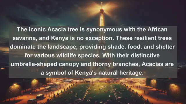 Video thumbnail for Exploring Kenya's Natural Treasures: Top 10 Native Plants Revealed!