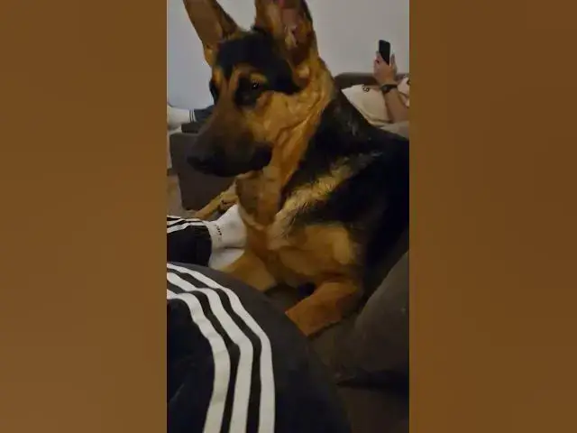 Video thumbnail for 👀