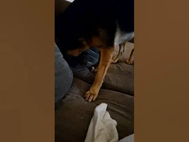 Video thumbnail for I won't let you stay quiet.