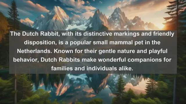 Video thumbnail for Delightful Dutch Companions: Top 10 Favorite Pets Revealed