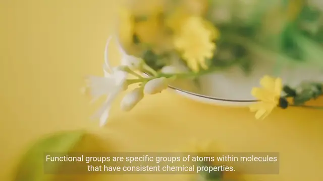 Video thumbnail for Understanding Functional Groups and Reactivity