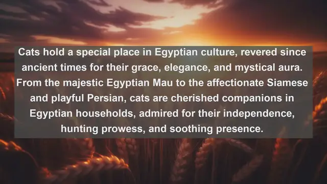 Video thumbnail for Egypt's Beloved Companions: Top 10 Favorite Pets in Egypt