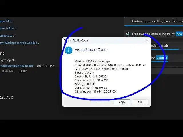 Video thumbnail for How to Check VSCode version & location in Terminal