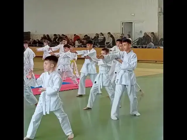 'Video thumbnail for Karateka de la SCM Zalău participă la faza zonală a Campionatului Național de Karate Tradițional 3'