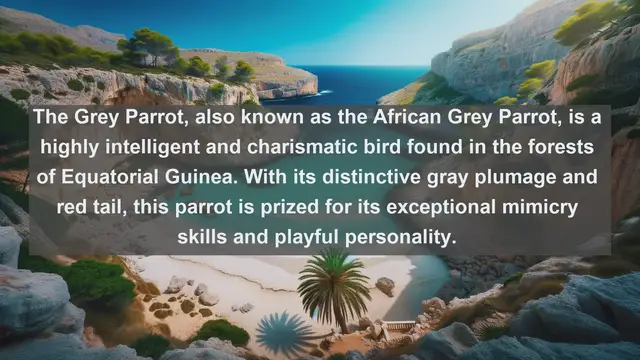 Video thumbnail for Wings of Equatorial Guinea: Exploring the Top 10 Native Birds of This African Paradise