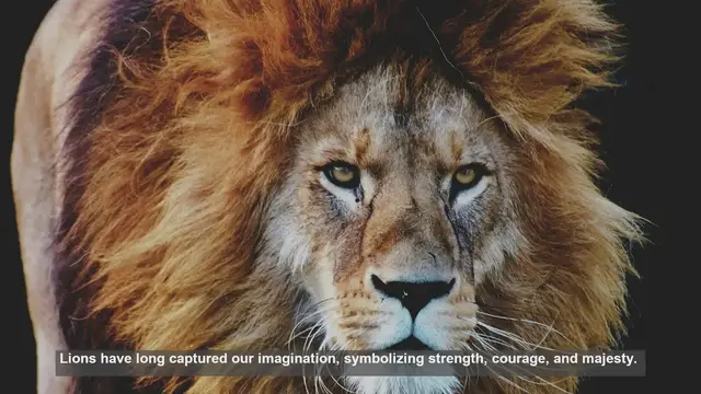 Video thumbnail for 10 Global Lion Festivals: Celebrating the King of Beasts